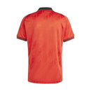 Camisa Flamengo Lifestyler 24/25 - Torcedor Adidas